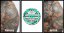Reuzel Tattoo Tat Hydrabalm rozjasňující balzám na tetování 35 g